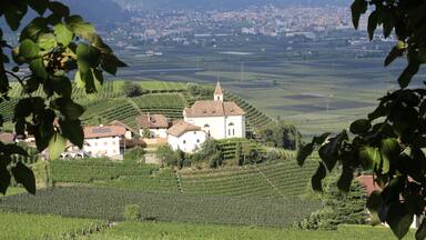 A vineyard with terraced fields and a white building with a tower.