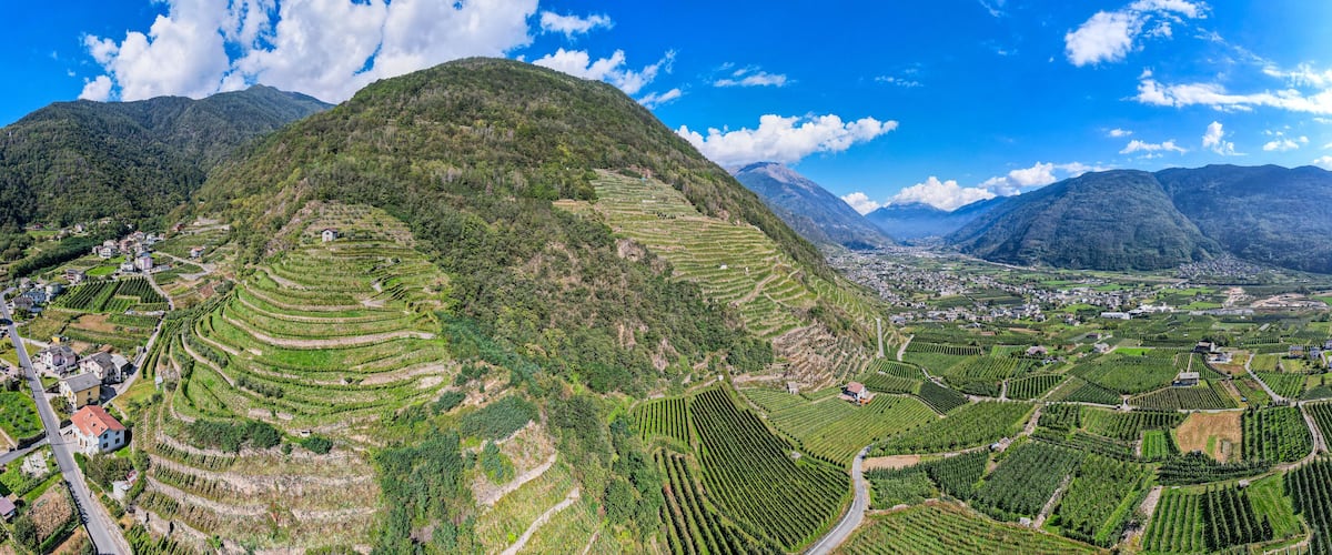 Terraced vineyards, a mountain, and a town.
