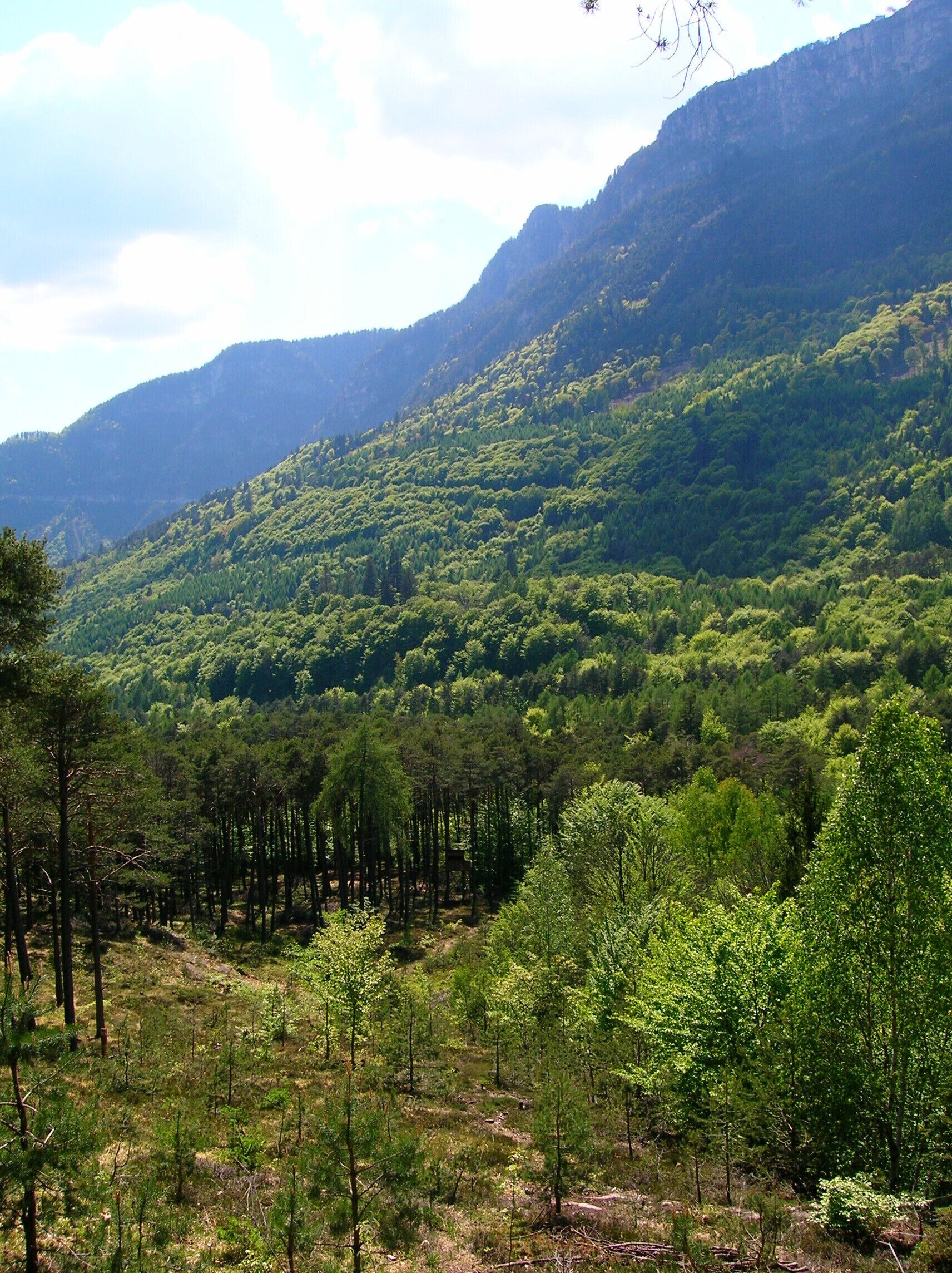 variazioni cromatiche primaverili