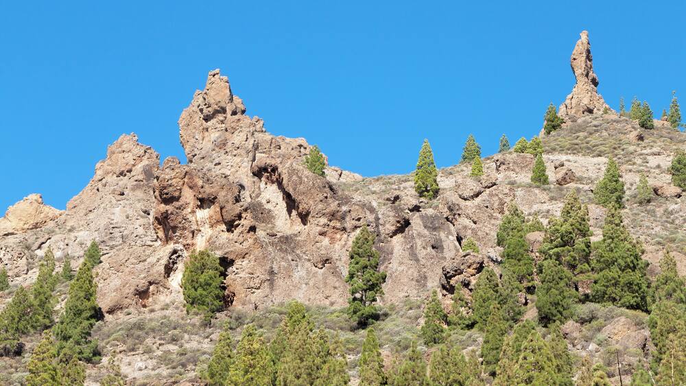 Une montagne rocheuse aux pics imposants, parsemée de pins.
