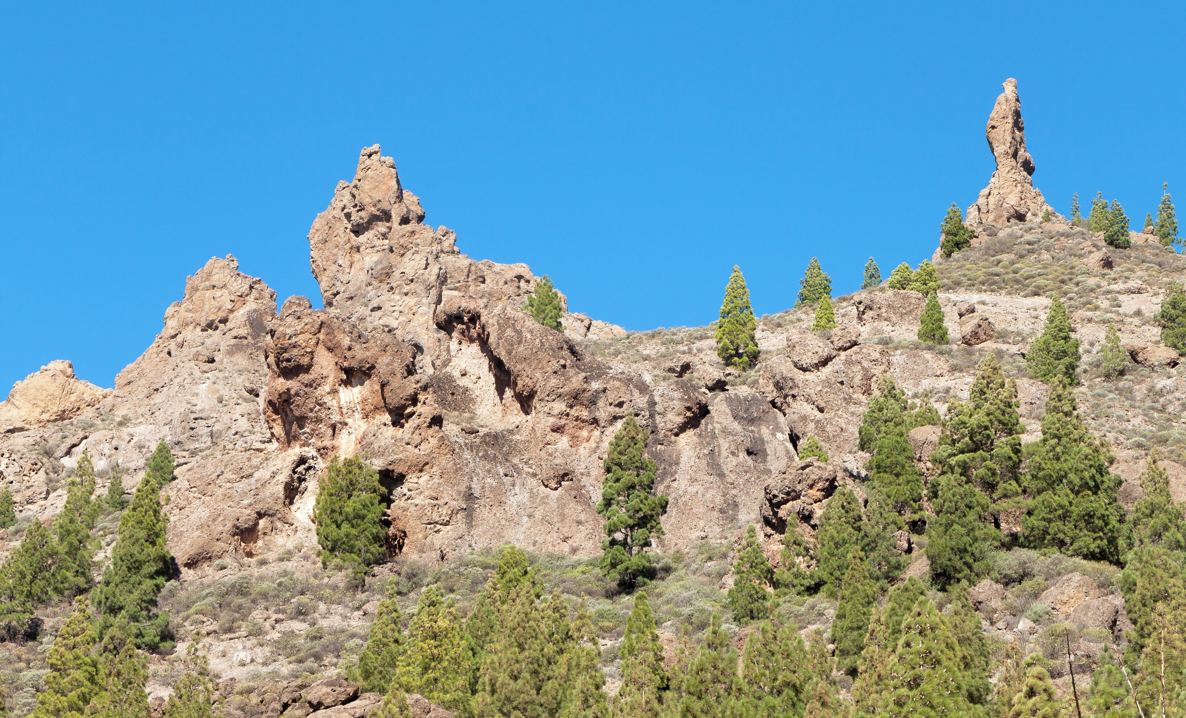 A rocky mountain with prominent peaks and scattered pine trees.