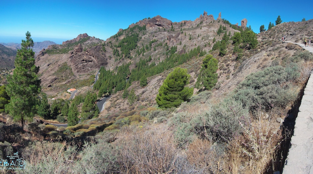 Cesta na Roque Nublo, Gran Canaria