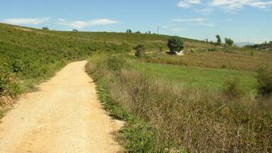 A dirt path winding through a grassy field with scattered trees and a clear blue sky.