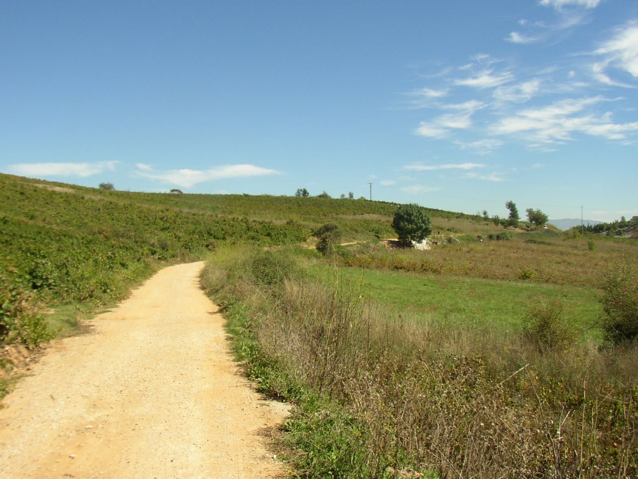 A dirt path winding through a grassy field with scattered trees and a clear blue sky.