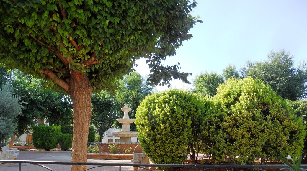 Plaza de la Constitución de Valenzuela de Calatrava.