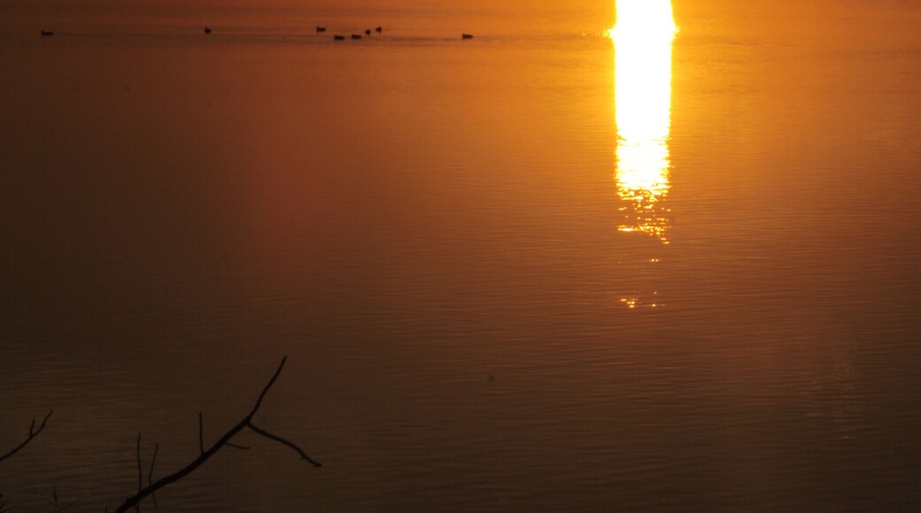 This is a photography of a Special Area of Conservation in Spain with the ID: