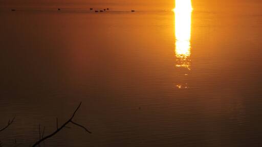 This is a photography of a Special Area of Conservation in Spain with the ID: