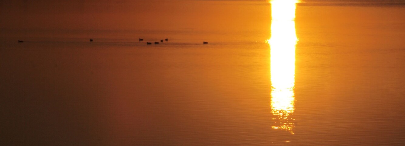 This is a photography of a Special Area of Conservation in Spain with the ID: