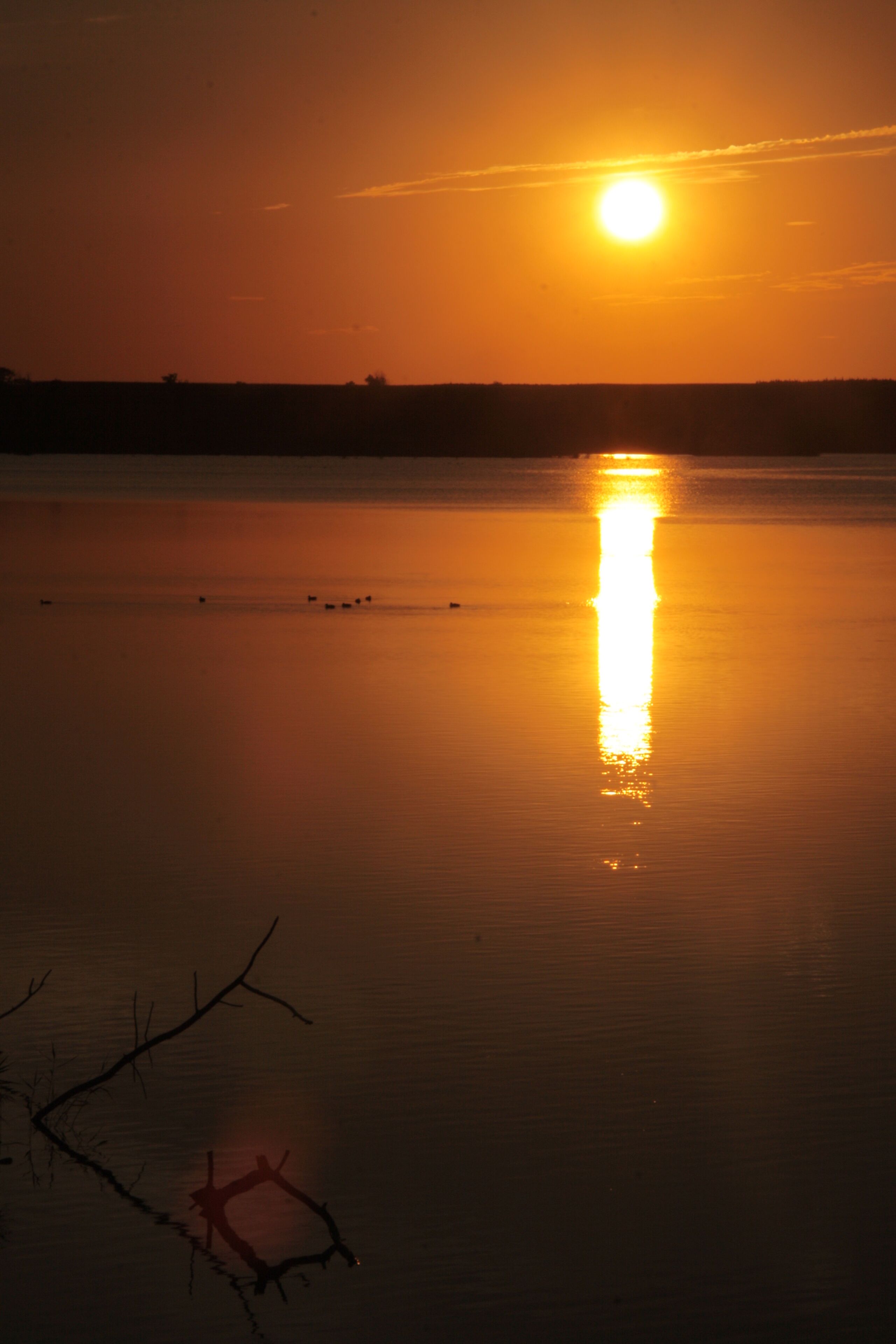 A sunset over a calm lake with a silhouette of trees and a distant horizon.