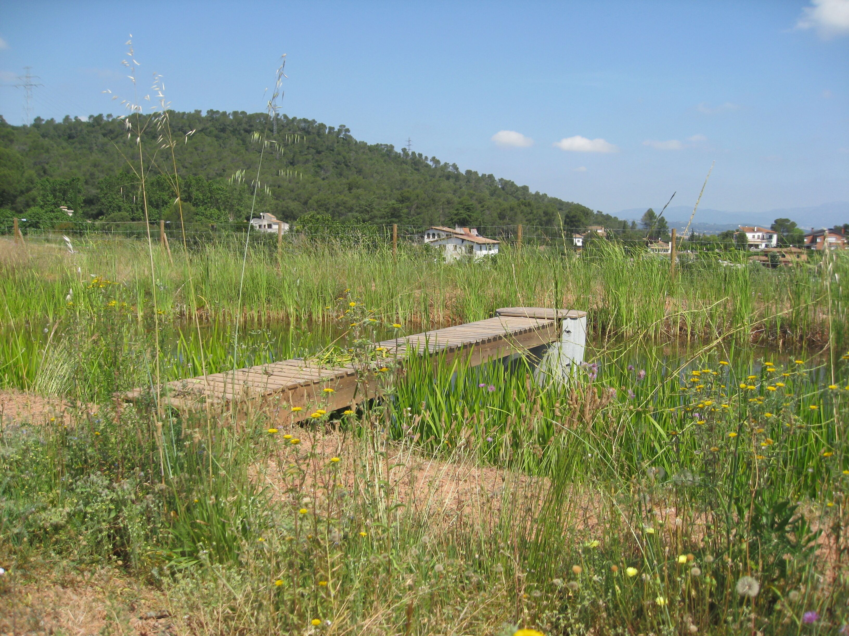 This is a photography of a Site of Community Importance in Spain with the ID: