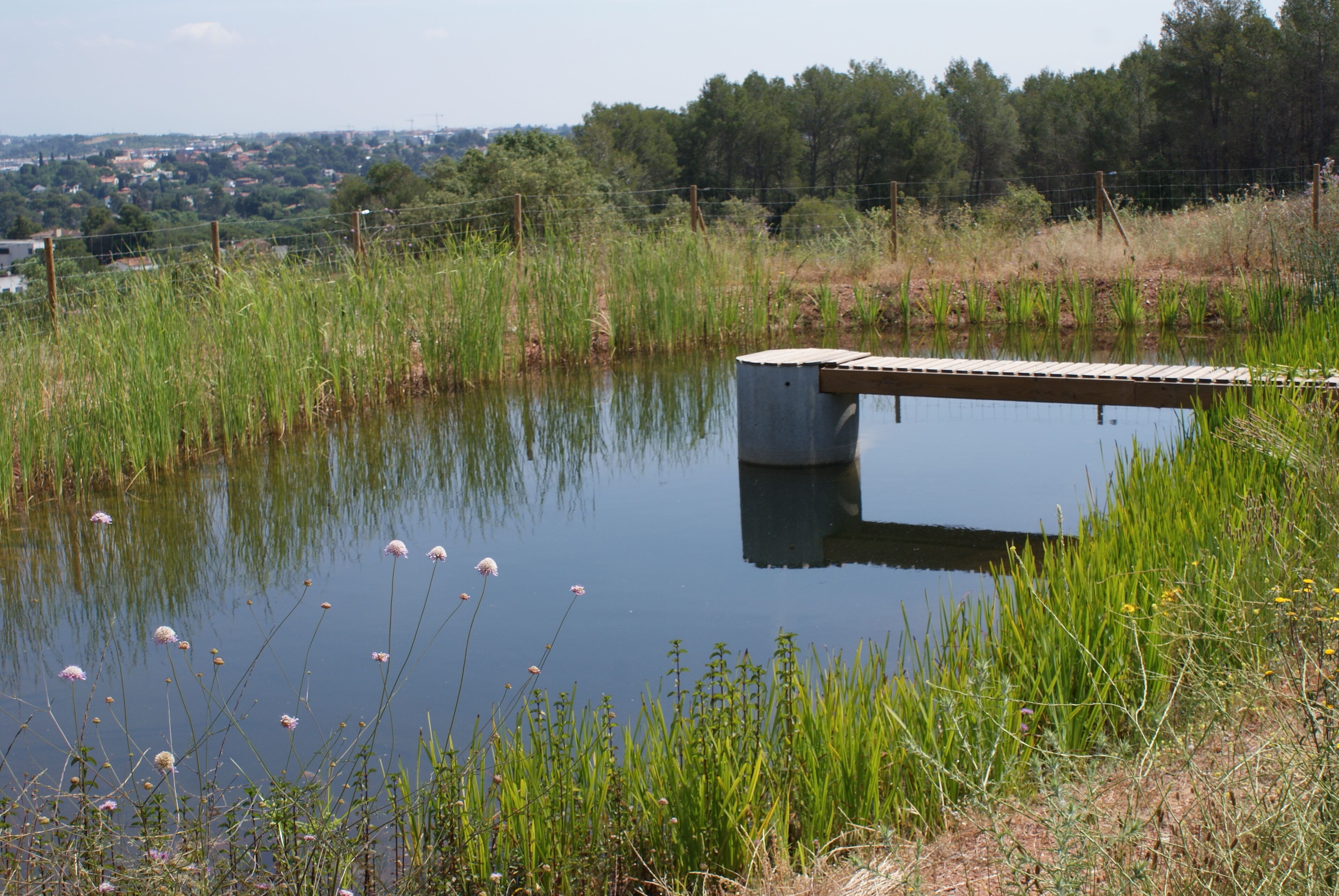 This is a photography of a Site of Community Importance in Spain with the ID: