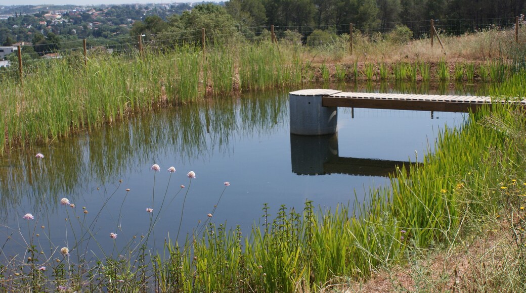 This is a photography of a Site of Community Importance in Spain with the ID: