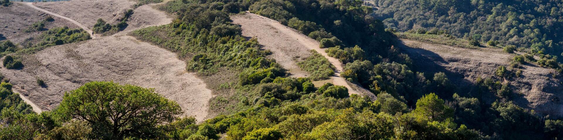 Montserrat mountain (Catalonia, Spain)