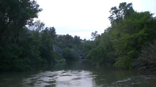 Riu Llobregat sota el Pont vell de Cabrianes (maig 2012)