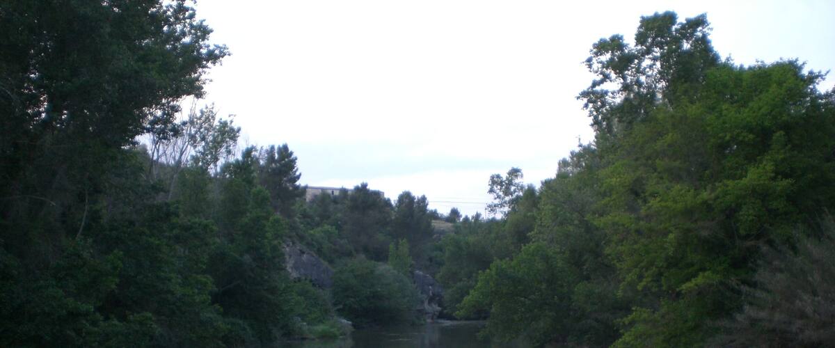 A calm river surrounded by dense greenery and trees.