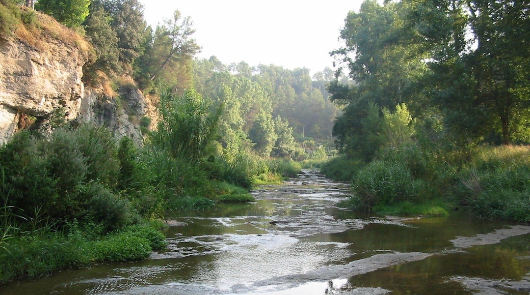 Riu Calders a Navarcles