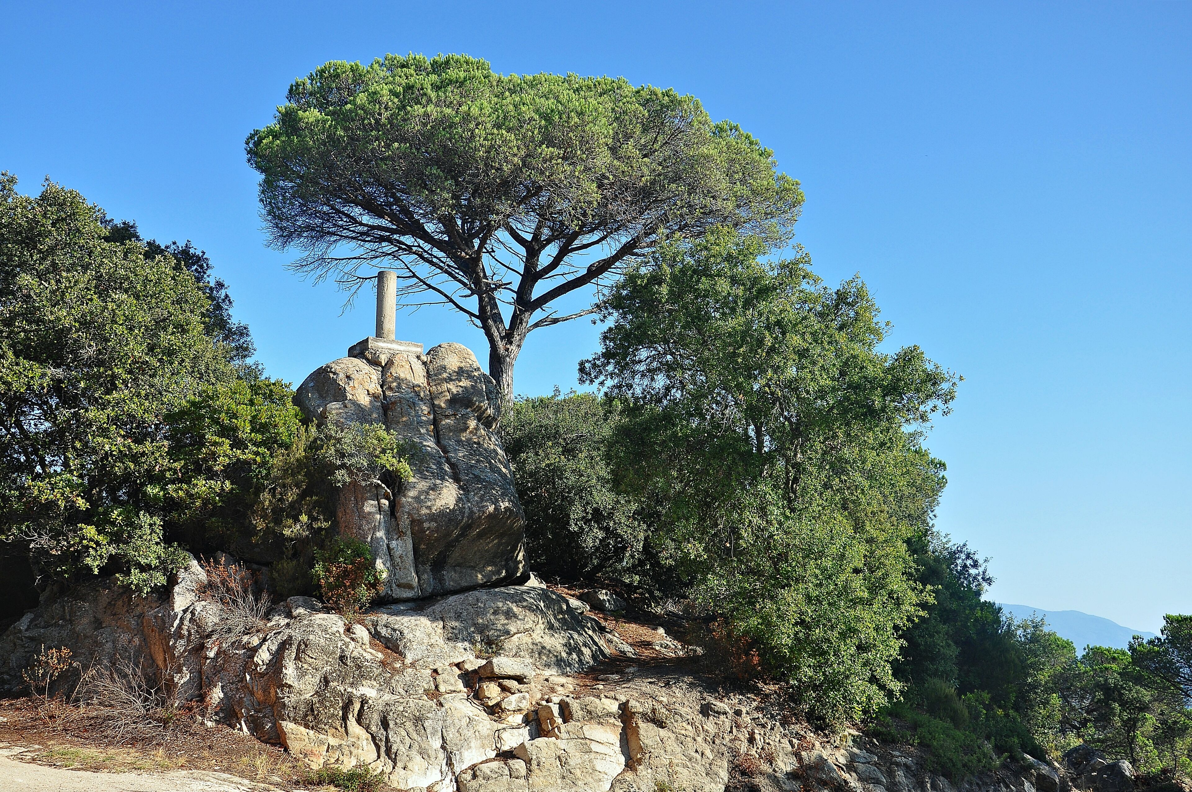 A rocky outcrop with a prominent tree and dense foliage.