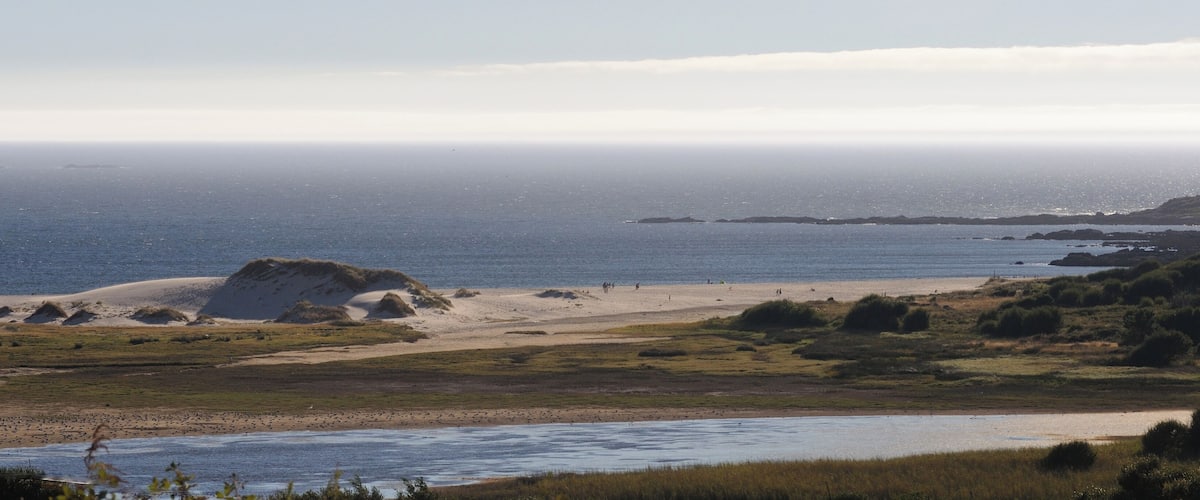 A coastal landscape with a sandy beach, grassy dunes, and a calm sea.