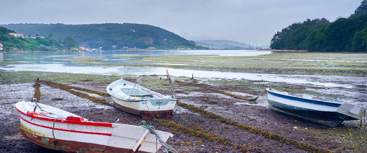 Three boats on a muddy shore with a river and hills in the background.