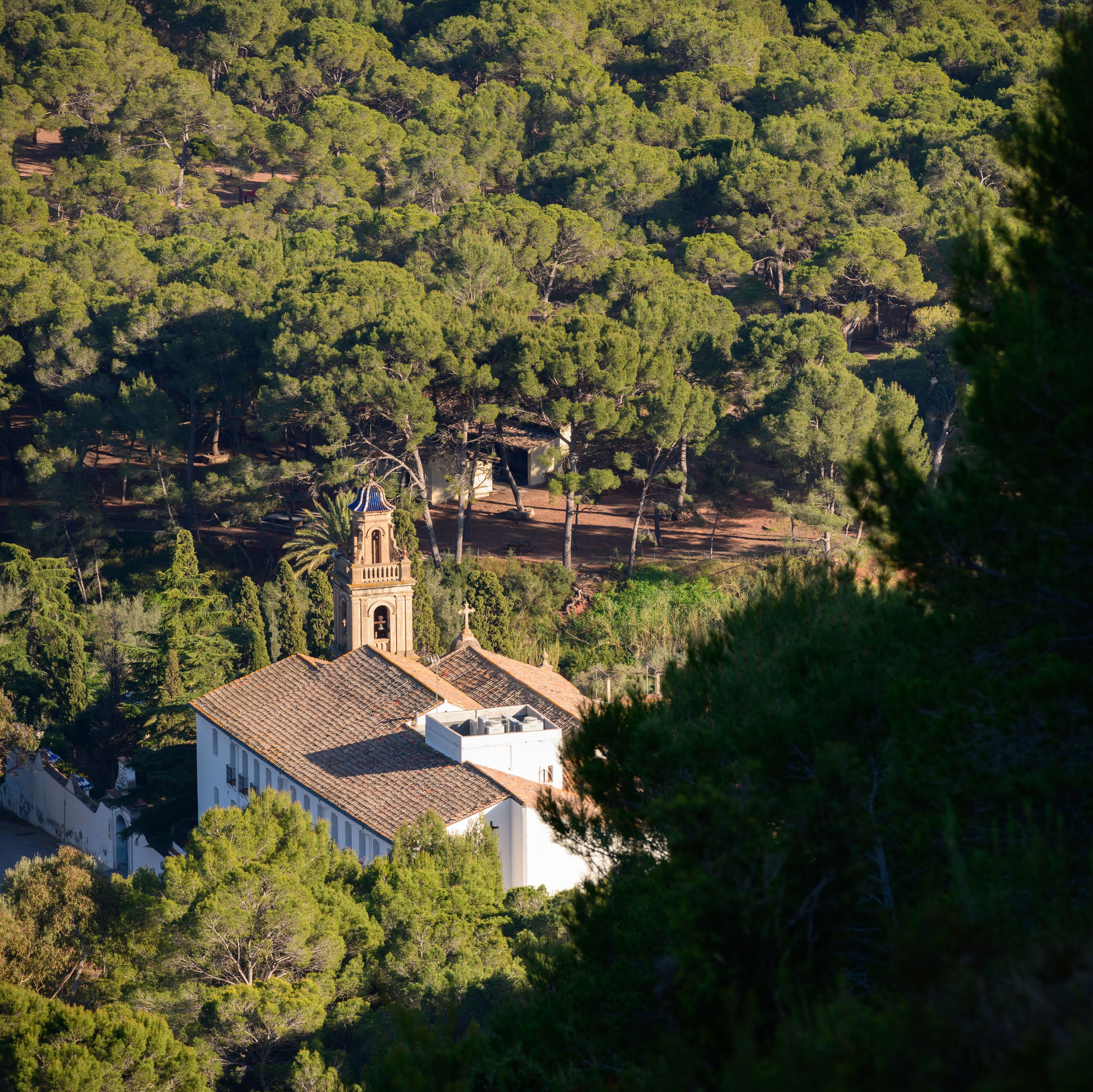 A church with a bell tower surrounded by dense forest.