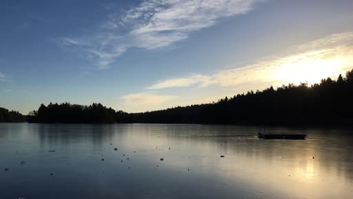 This is the pond within the Velamsund nature preserve south-east of Stockholm. Frozen in December here, but great swimming, farm and exploring nearby.
