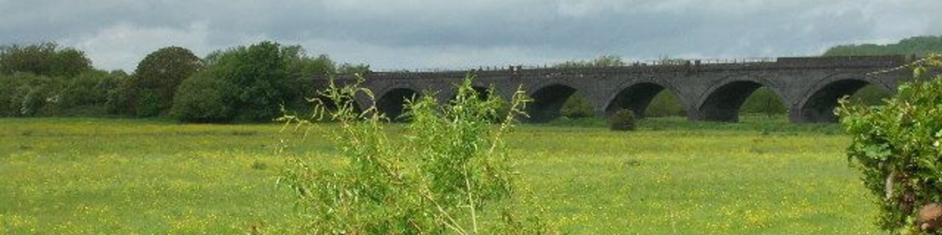Un puente de piedra sobre un río, con un campo cubierto de hierba al frente.