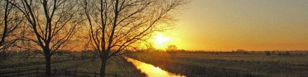 Sowy River, Somerset Levels. View looking southwest towards Stathe from Aller Drove Road. The "river" is better described as a large drainage ditch.
