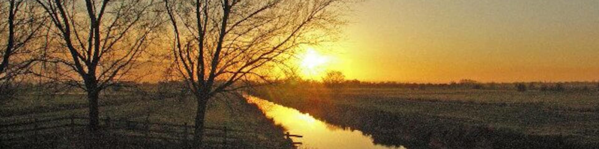 Sowy River, Somerset Levels. View looking southwest towards Stathe from Aller Drove Road. The "river" is better described as a large drainage ditch.