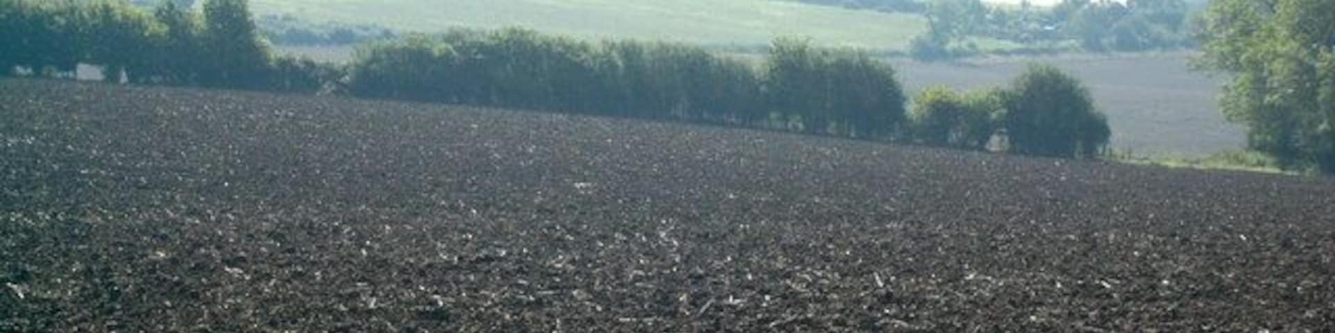 Um campo arado com árvores ao longe e um céu claro.