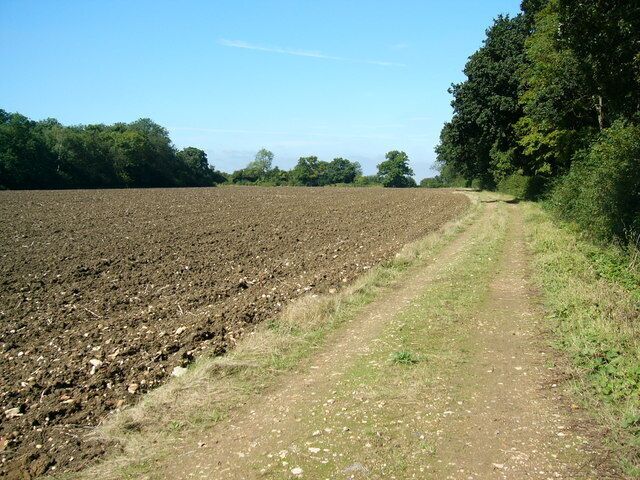 Ploughed field and woodland