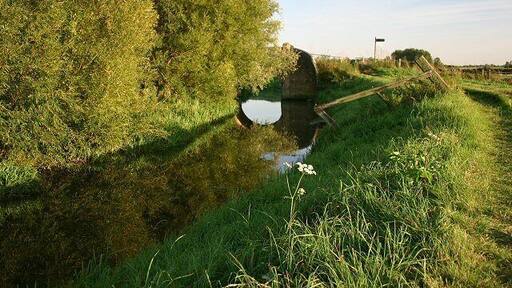 Barway Bridge Looking southwards from the bank of Soham Lode.
