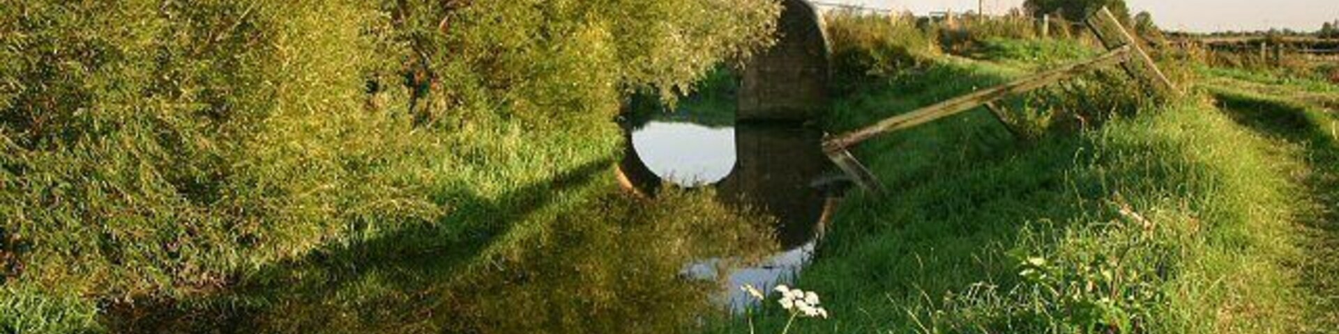 Barway Bridge Looking southwards from the bank of Soham Lode.