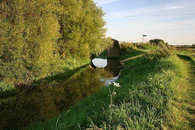A narrow water channel with dense vegetation on one side and a wooden structure on the other.