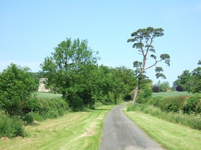 Approaching Battlesden Church. This lane runs up to the church at Battlesden (see 183068) then comes to an abrupt halt as a road but continues as a footpath past the church and Battlesden House. The precariously leaning tree on the right looks like a Scots Pine to me. The manor here was once owned by the remarkably-named Sir Gregory Page-Turner who should have been a novelist really !