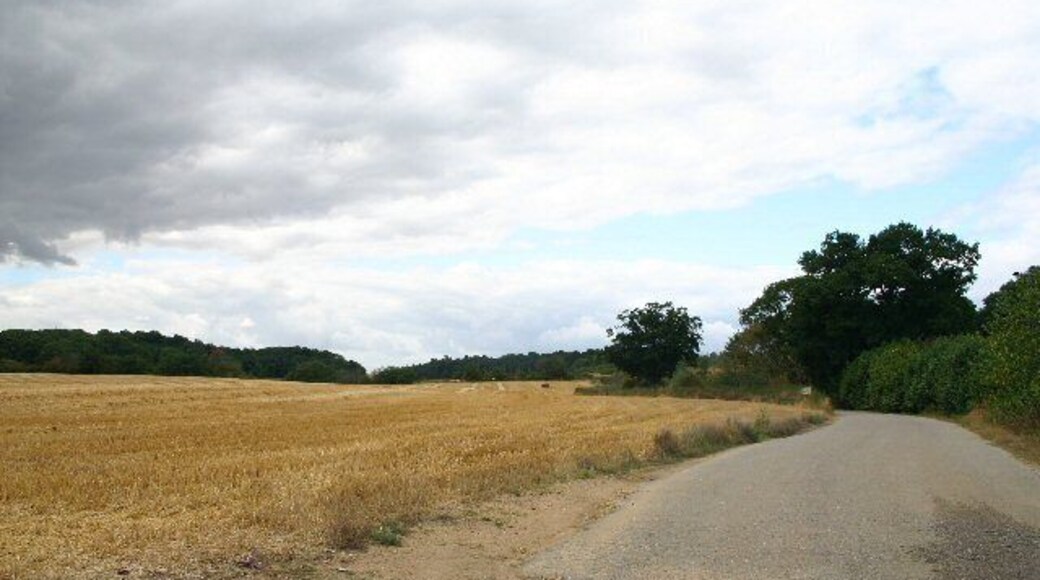 Private track at Baylham. This tarmac track leads to a pit owned by Lafarge Aggregates.