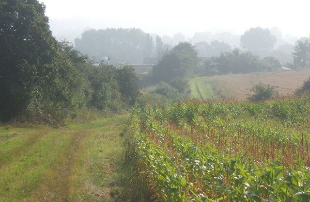 Track above Moat Farm Looking into the morning light at the start of another hot day.