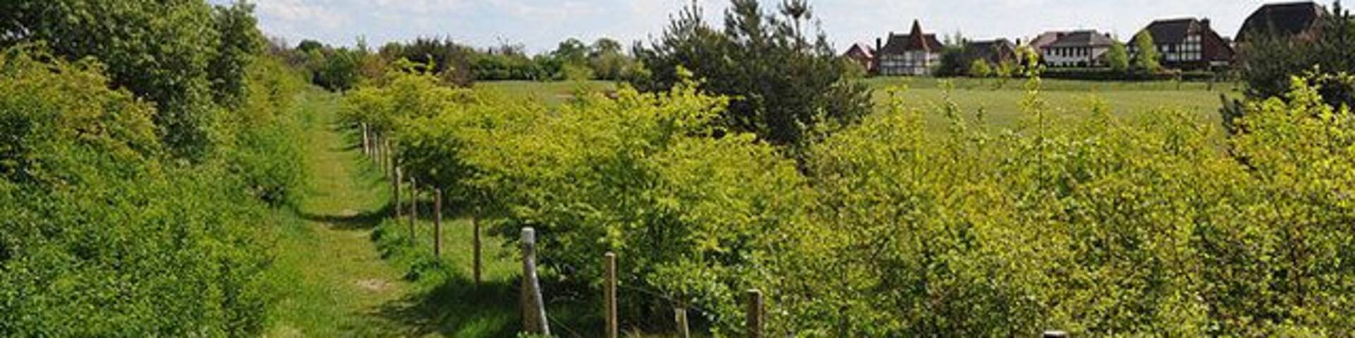 Footpath near Great Denham golf course, near to Biddenham, Bedfordshire, Great Britain. The footpath leads to Biddenham village.