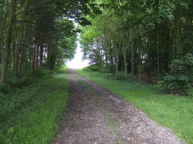Track through woodland at Bourne End, Bedfordshire