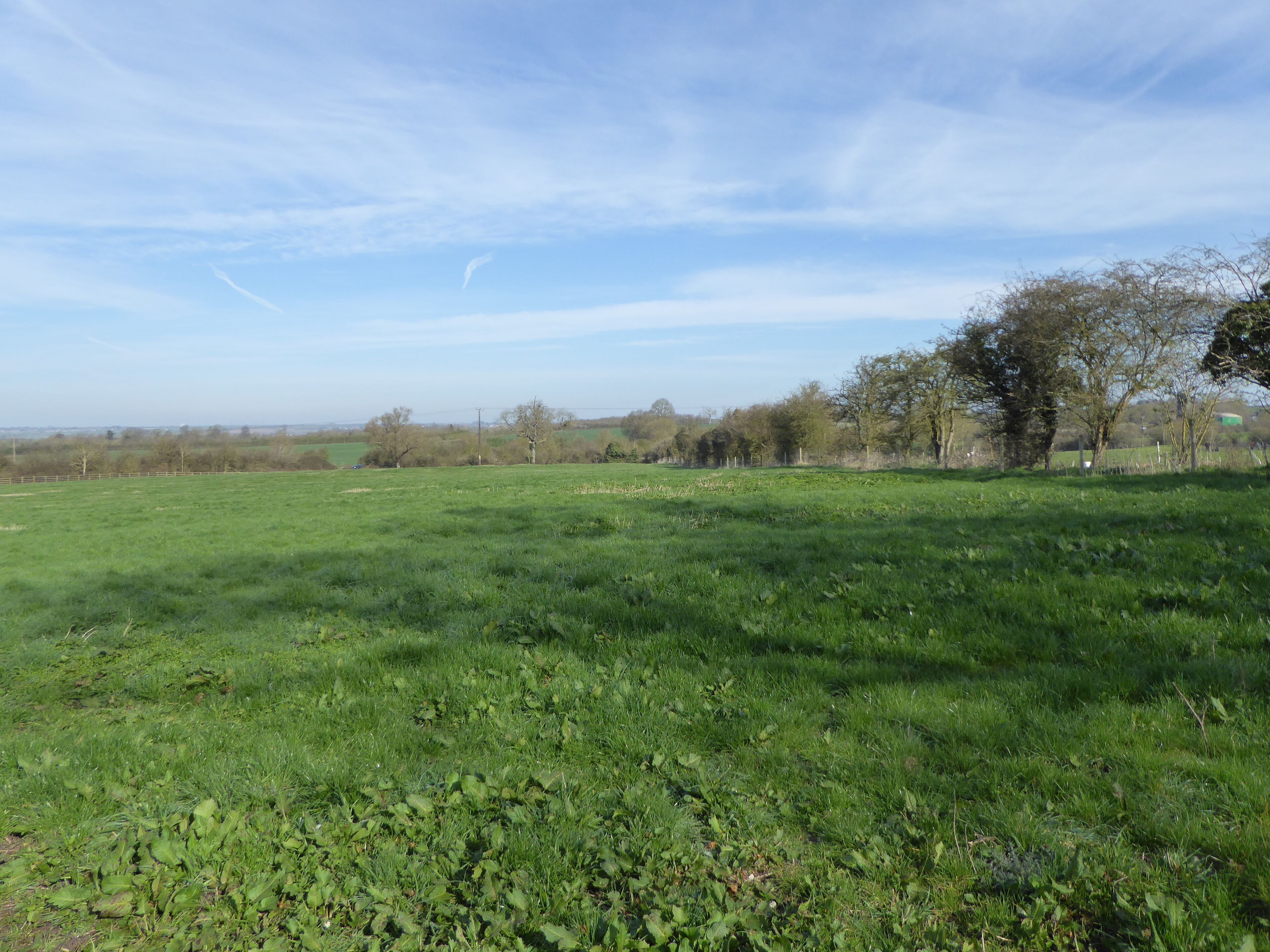 Bozeat Meadow is a biological Site of Special Scientific Interest south of Wellingborough in Northamptonshire.