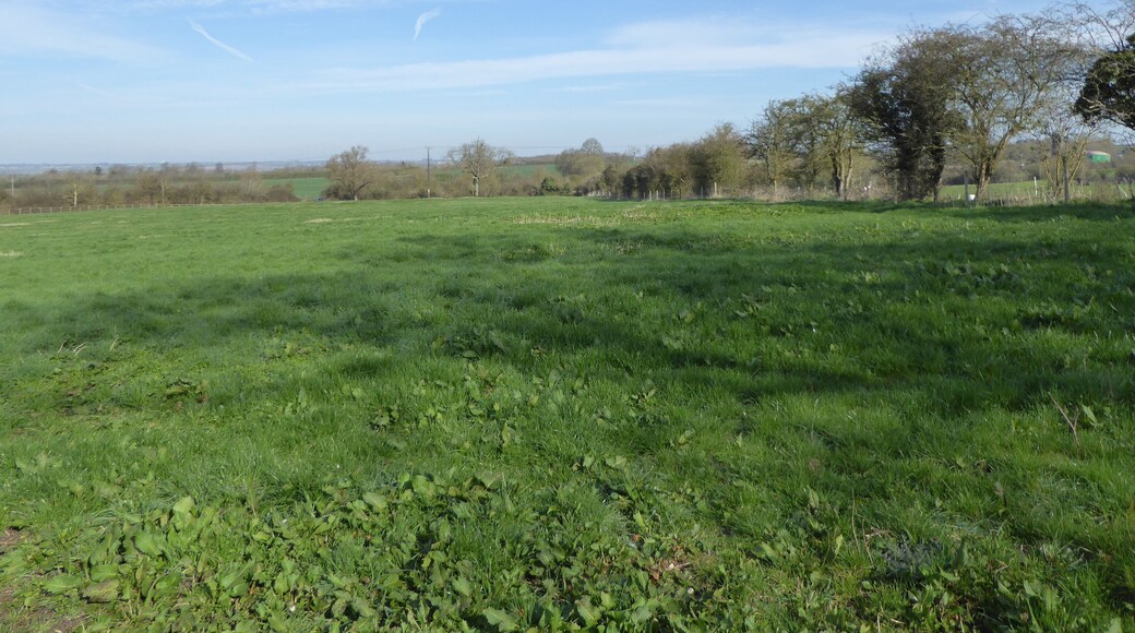 Bozeat Meadow is a biological Site of Special Scientific Interest south of Wellingborough in Northamptonshire.