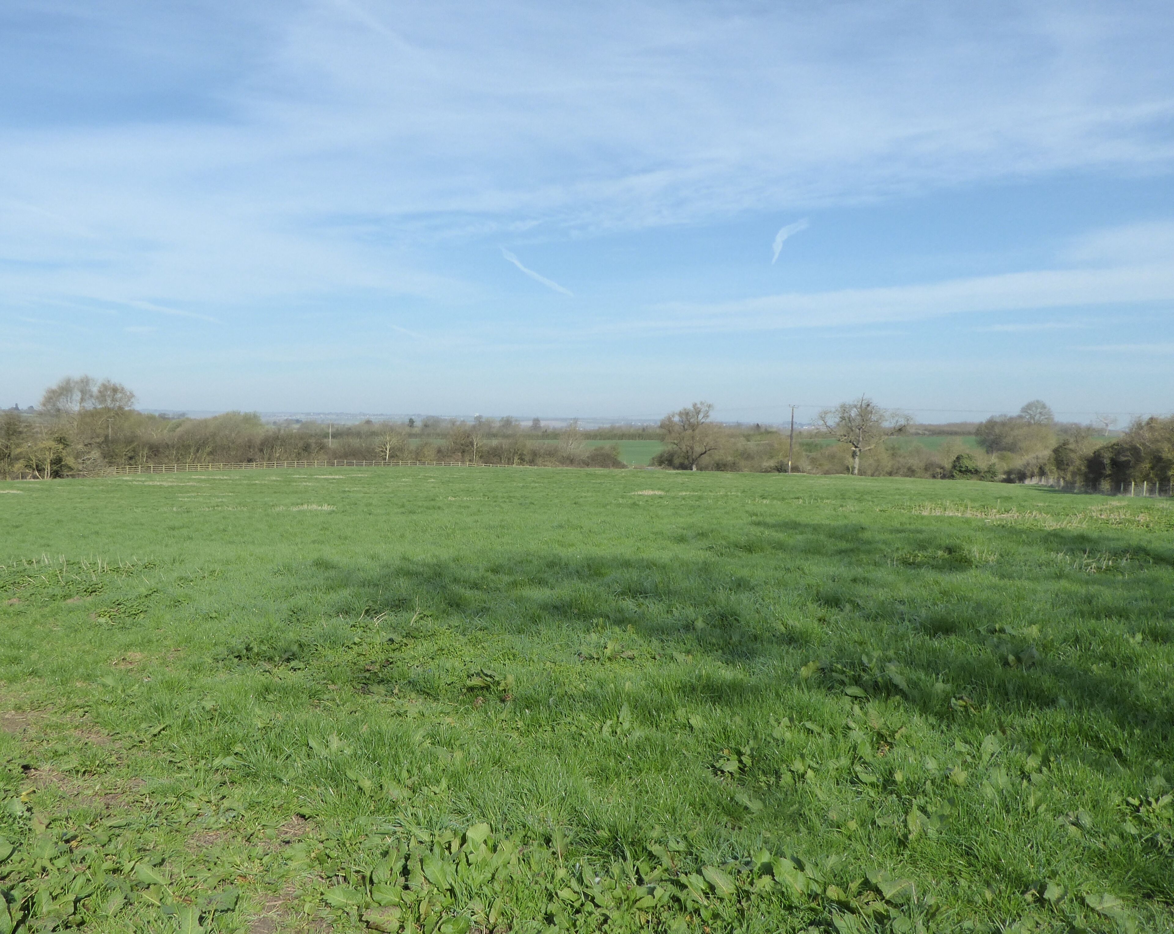 Bozeat Meadow is a biological Site of Special Scientific Interest south of Wellingborough in Northamptonshire.