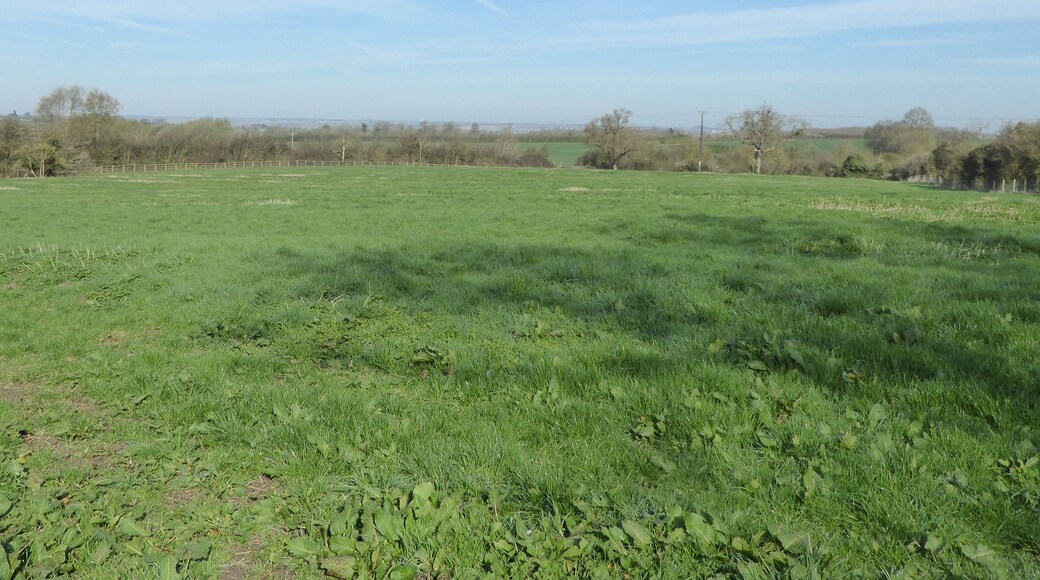 Bozeat Meadow is a biological Site of Special Scientific Interest south of Wellingborough in Northamptonshire.
