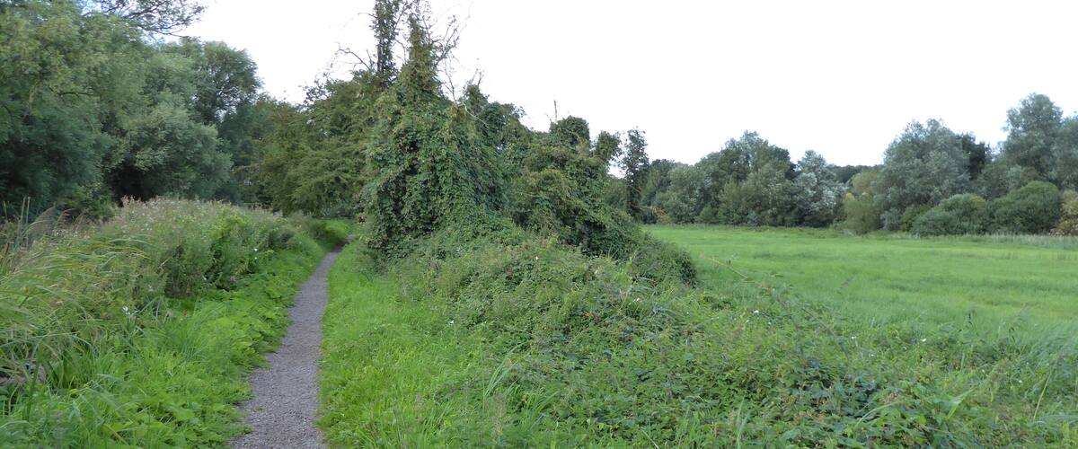 A gravel path through a lush green field with dense trees and bushes on either side.
