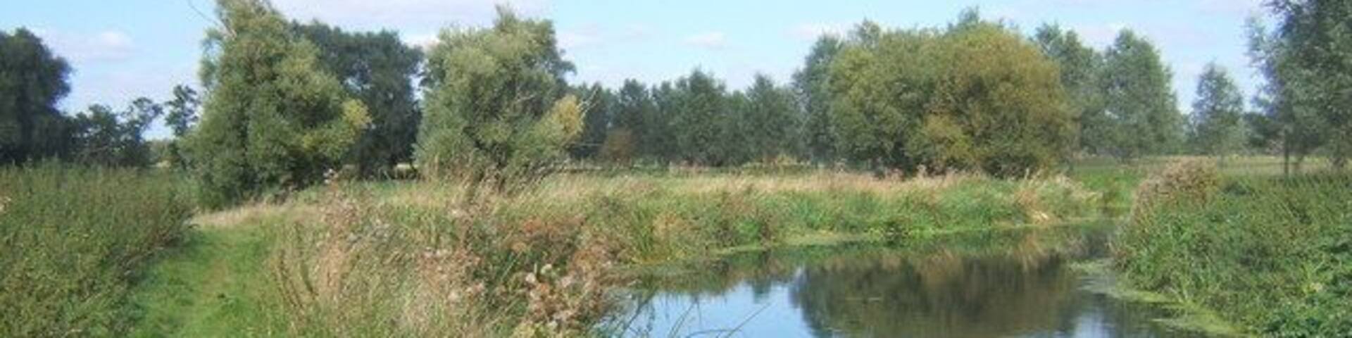 Riverside scene with footpath