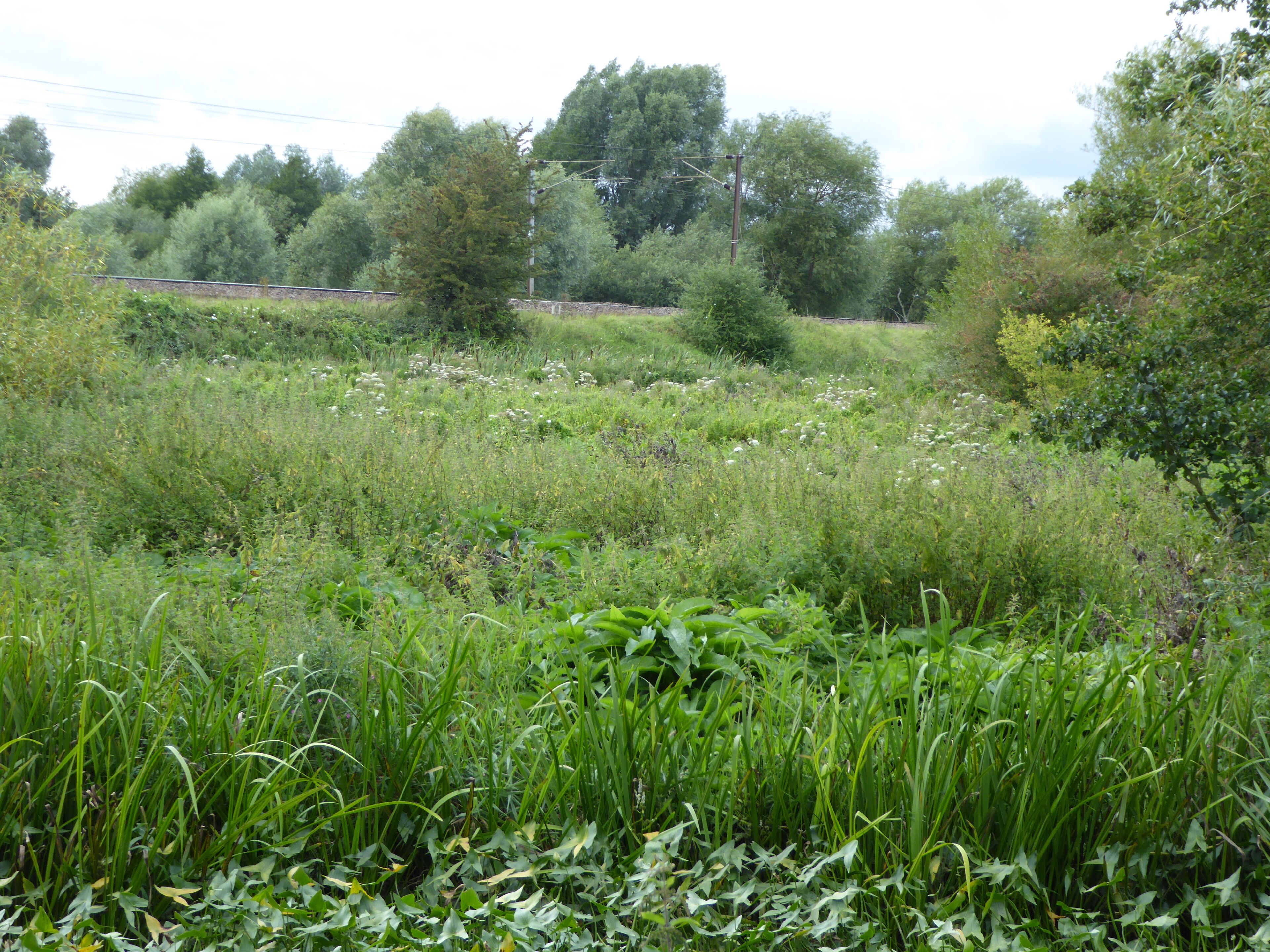 Papermill Reedbed is a nature reserve north-west of Ipswich in Suffolk. It is managed by the Suffolk Wildlife Trust.