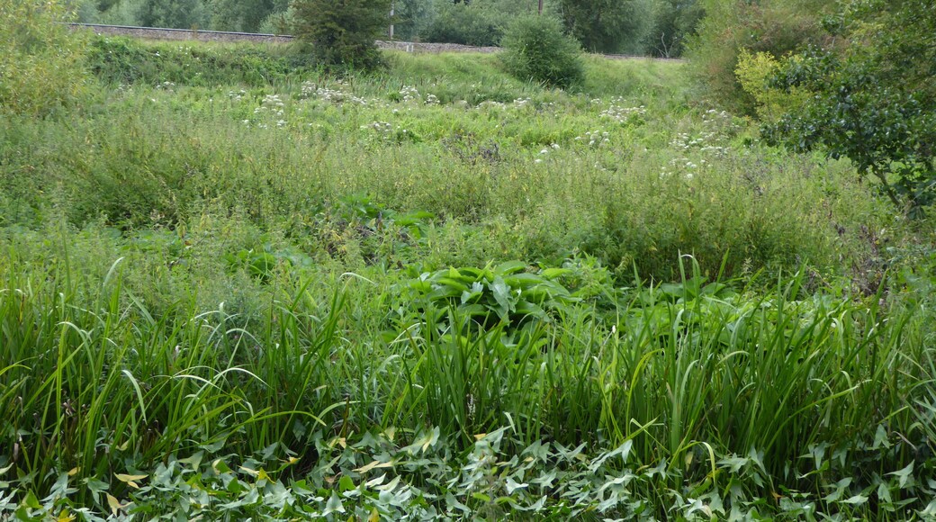 Papermill Reedbed is a nature reserve north-west of Ipswich in Suffolk. It is managed by the Suffolk Wildlife Trust.