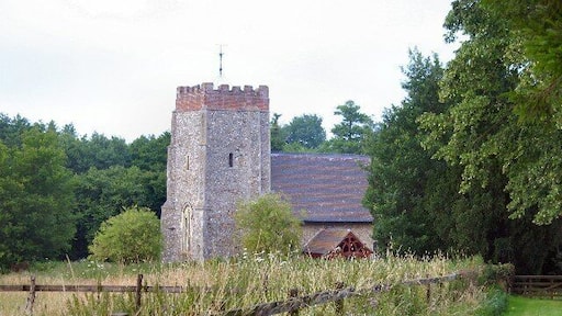 Washbrook Church. St Mary's is another good example of a church detached from its village. It is disused and the graveyard overgrown. It is managed by the Churches Conservation Trust.