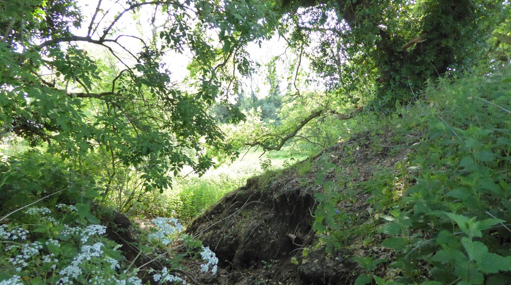 Neutral Farm Pit is a geological Site of Special Scientific Interest east of Butley in Suffolk.