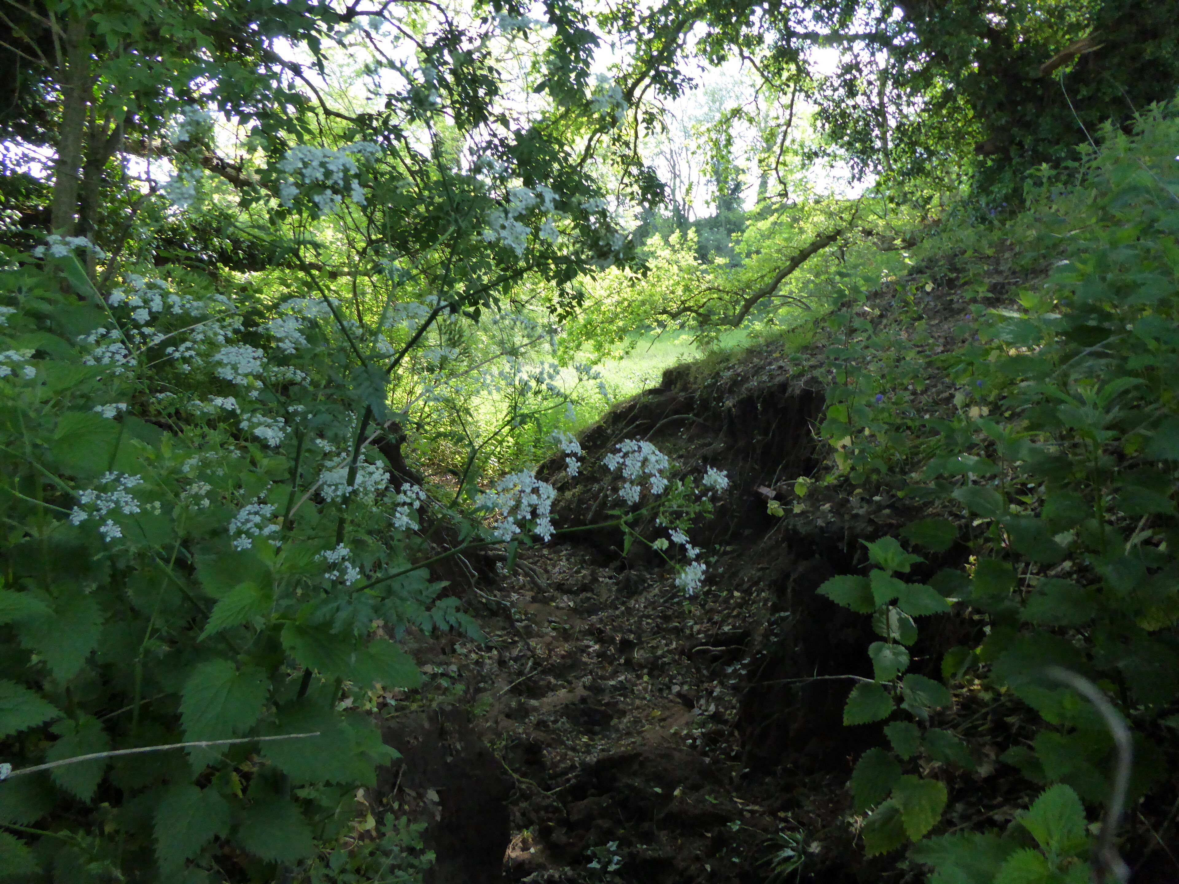 Neutral Farm Pit is a geological Site of Special Scientific Interest east of Butley in Suffolk.