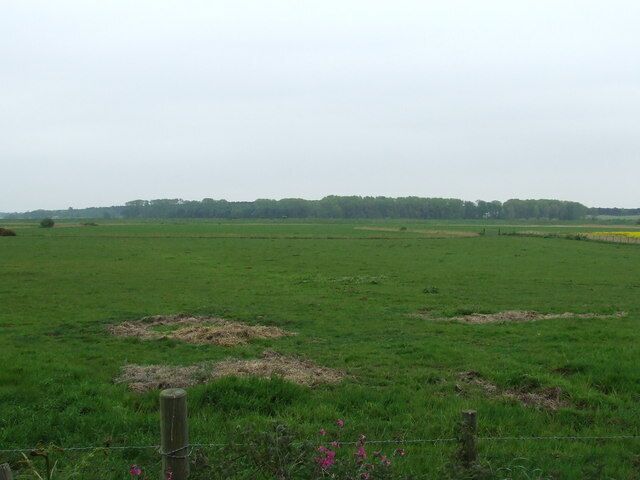 Gedgrave Broom Gedgrave Broom from across the Butley River near to Boyton, Suffolk.